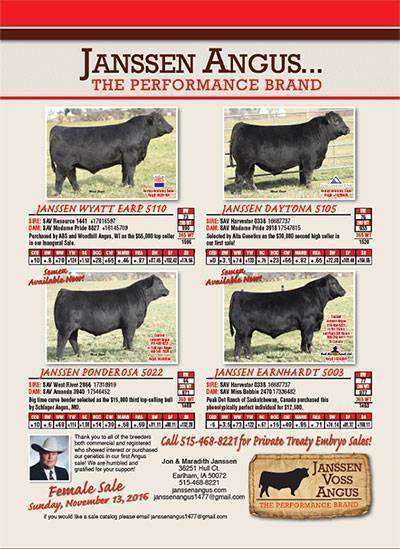Angus Production Sale - February 20, 2016